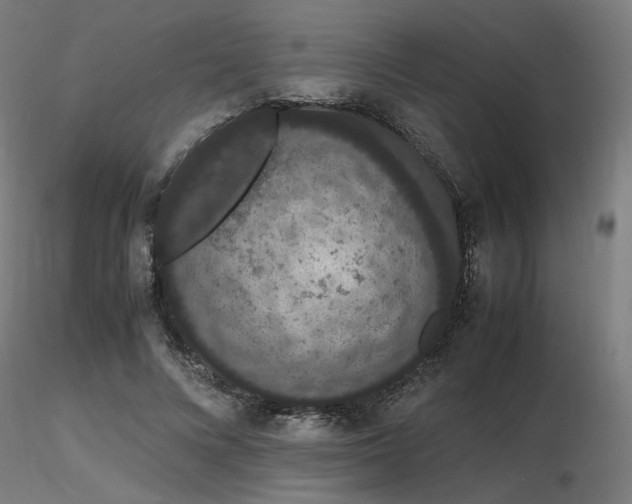 X0000116840688200912181458