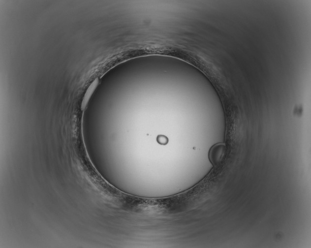 X0000116840689200912181458