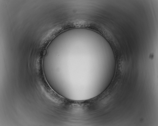 X0000116840690200912181458