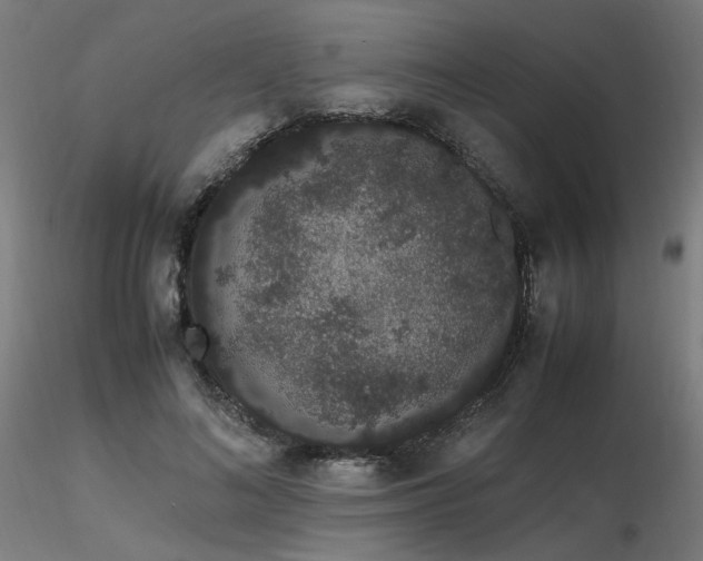 X0000116840692200912181458