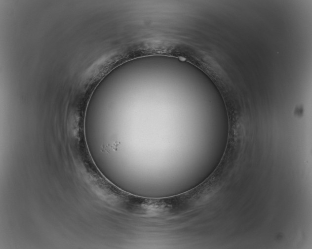 X0000116840693200912181458