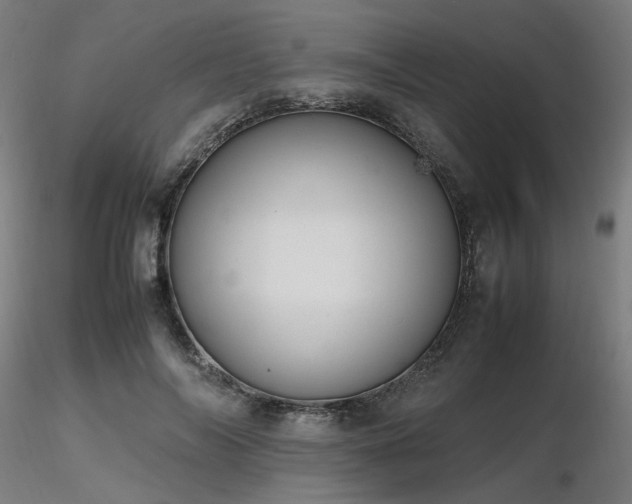 X0000116840694200912181458