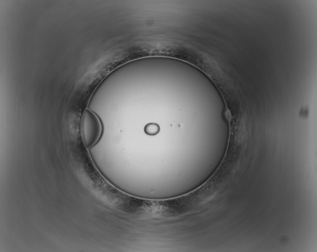 X0000116840695200912181458