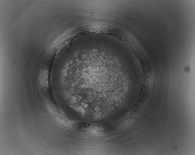 X0000116840696200912181458