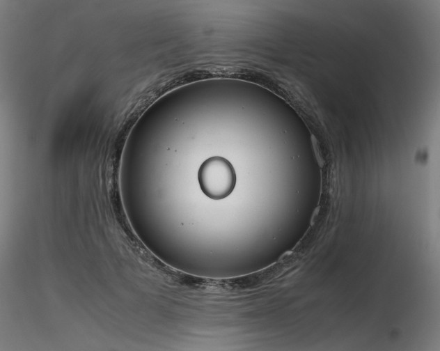 X0000116840697200912181458