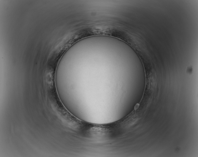 X0000116840699200912181458
