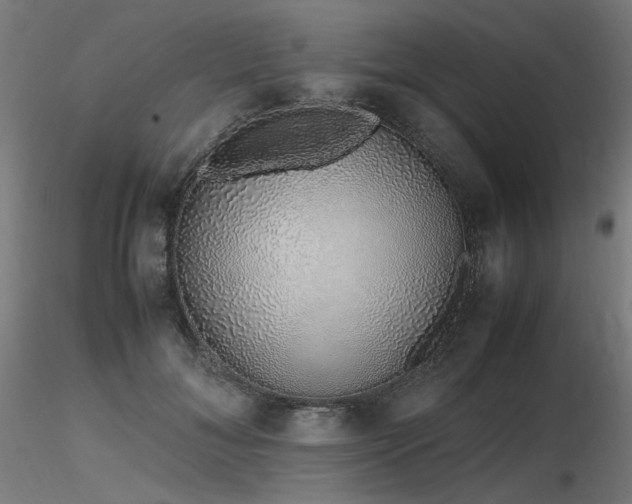 X0000116840700200912181458