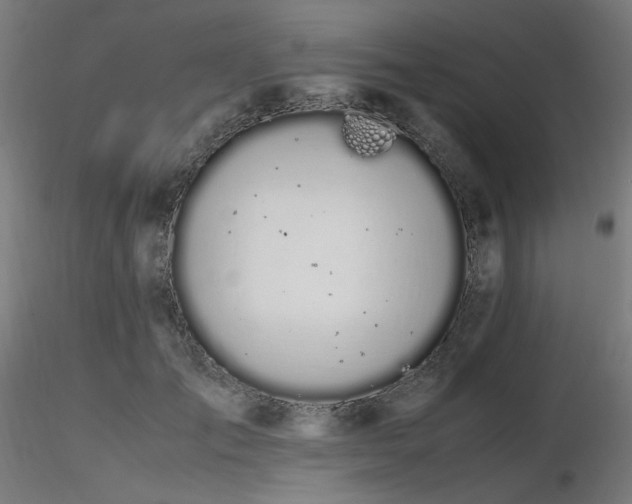 X0000116840701200912181458