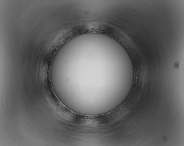 X0000116840702200912181457