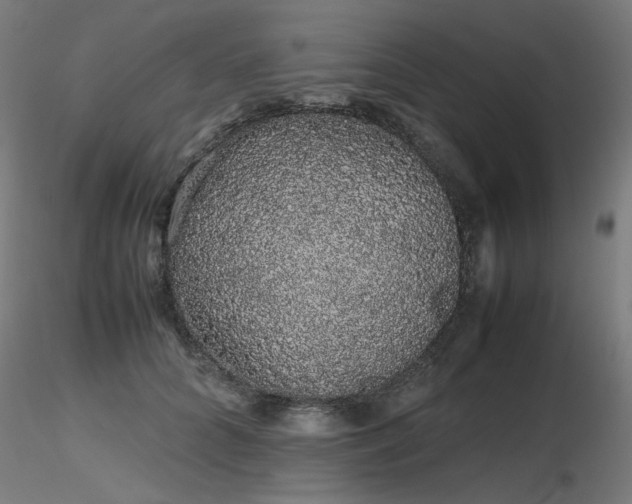 X0000116840704200912181457