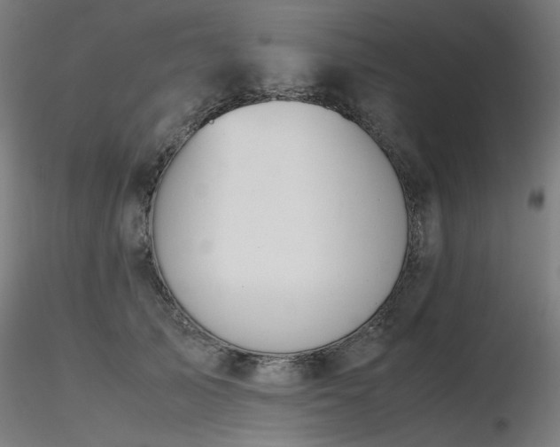 X0000116840705200912181457
