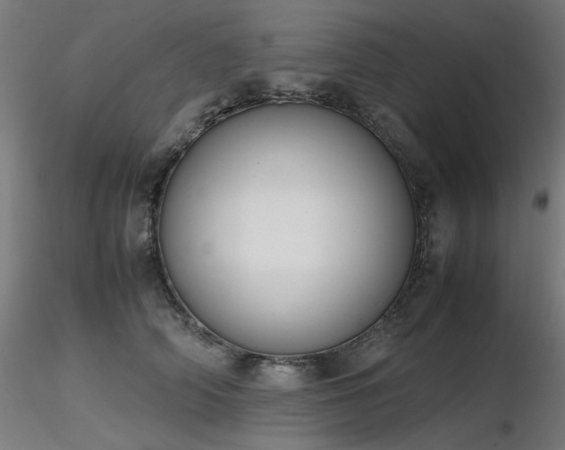 X0000116840706200912181457