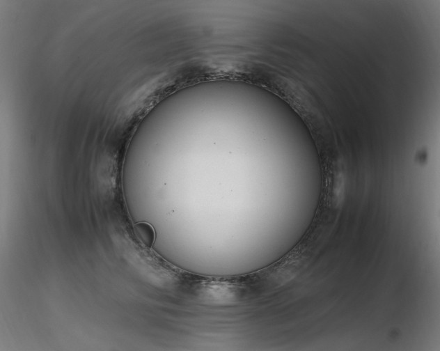 X0000116840710200912181457