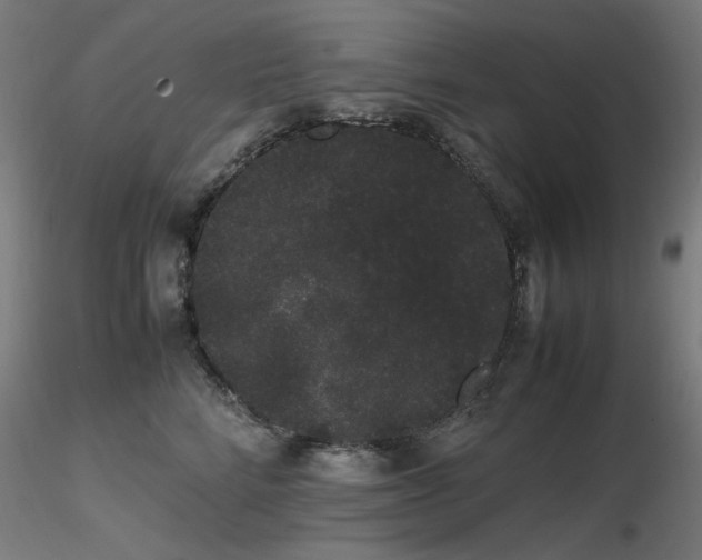 X0000116840712200912181457