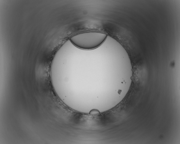 X0000116840713200912181457