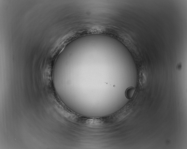 X0000116840714200912181457