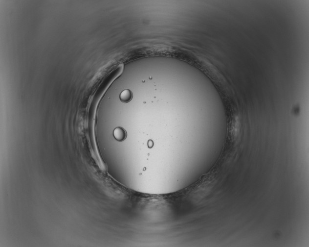X0000116840715200912181457