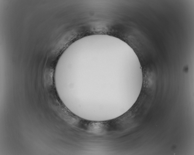 X0000116840717200912181457