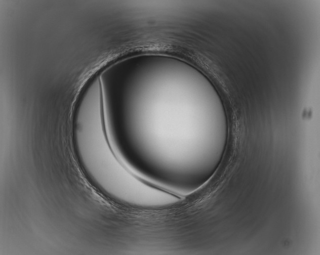 X0000116840721200912181456