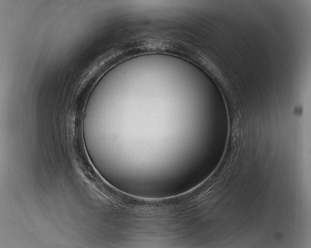 X0000116840722200912181456