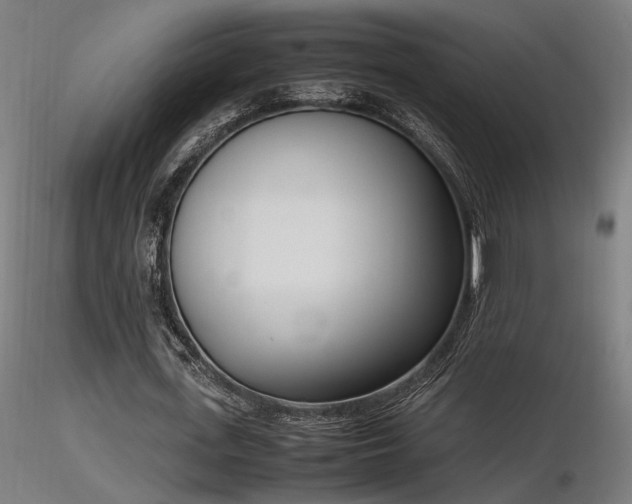 X0000116840723200912181456