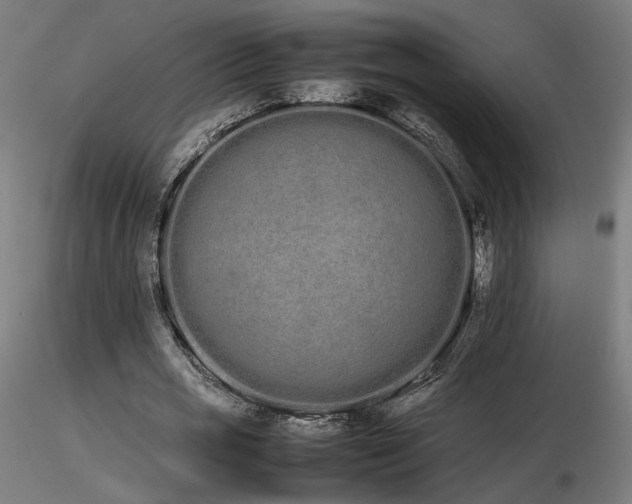 X0000116840725200912181456