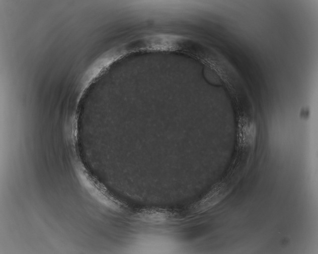 X0000116840726200912181456