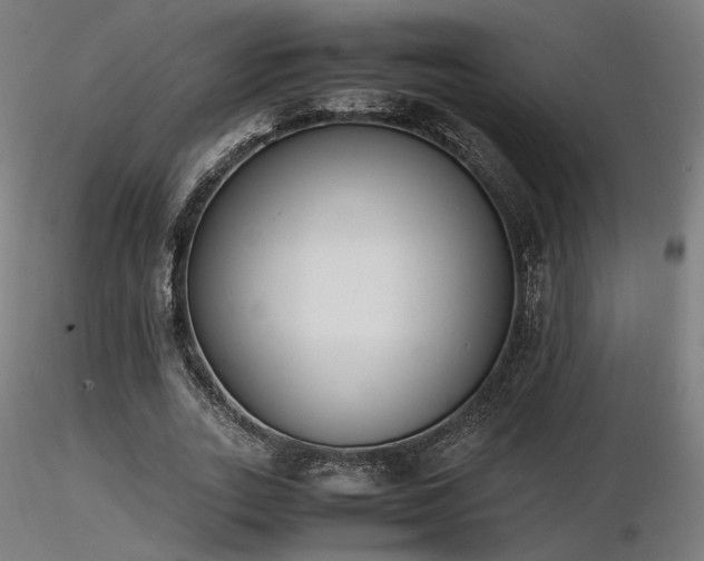 X0000116840727200912181456