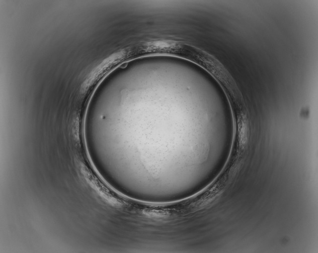 X0000116840729200912181457
