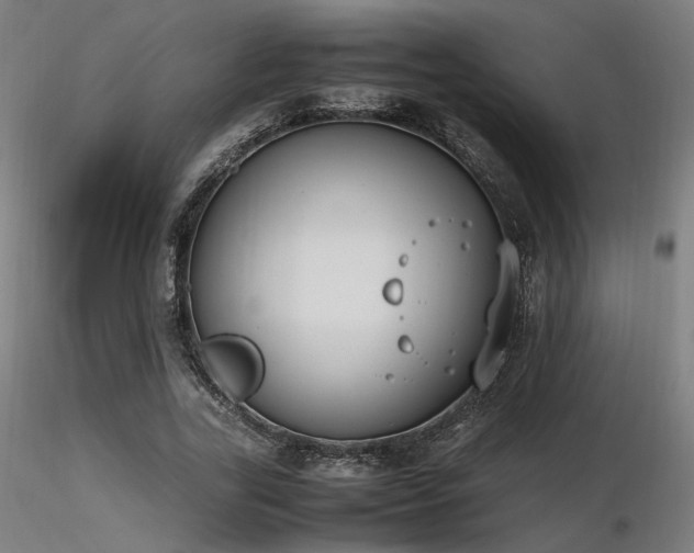 X0000116840731200912181457