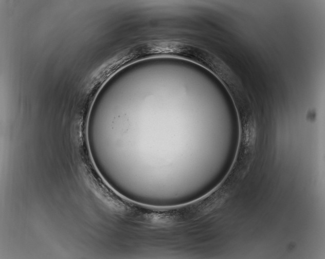 X0000116840733200912181457