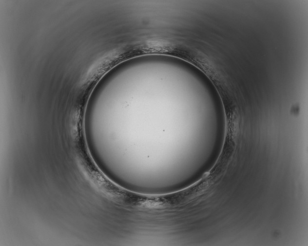 X0000116840742200912181457