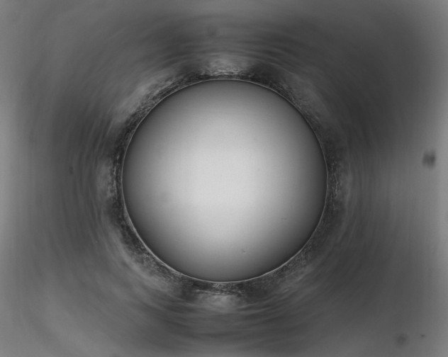 X0000116840743200912181457