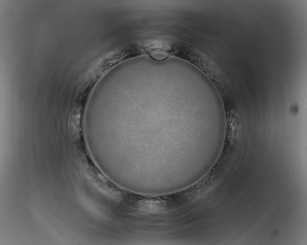 X0000116840745200912181457
