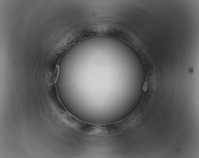 X0000116840750200912181457