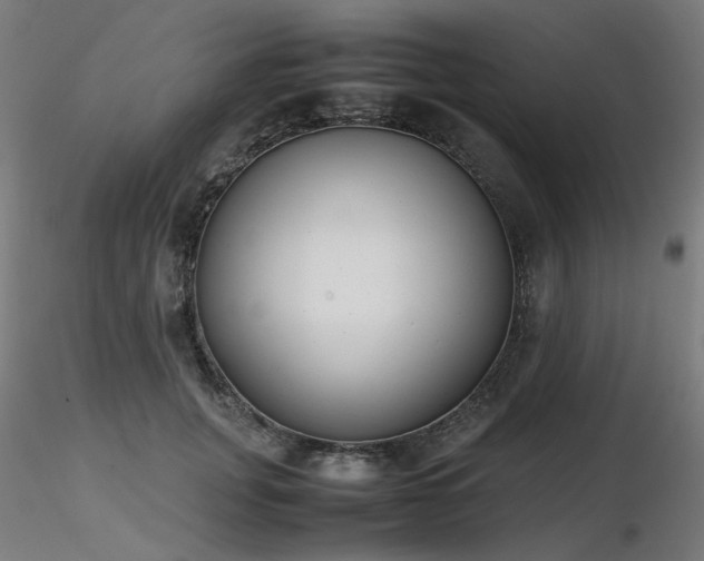 X0000116840751200912181457