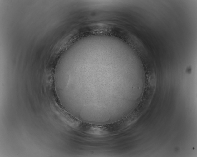 X0000116840753200912181457