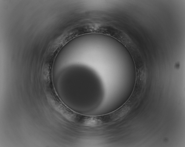 X0000116840754200912181457