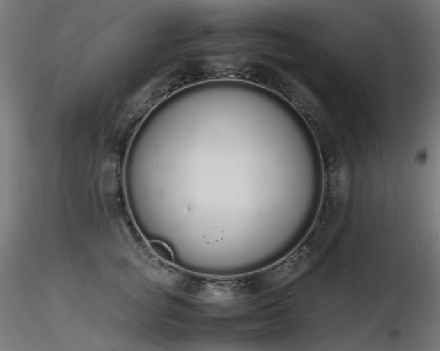 X0000116840757200912181457