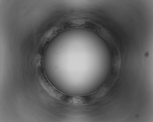 X0000116840758200912181457