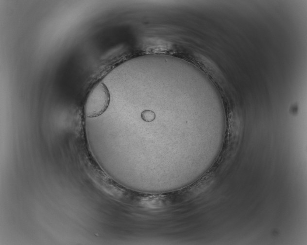 X0000116840761200912181457