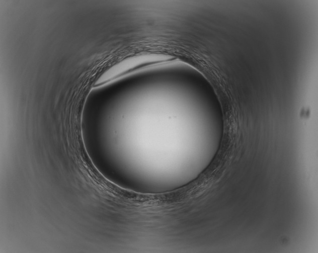 X0000116840769200912181456