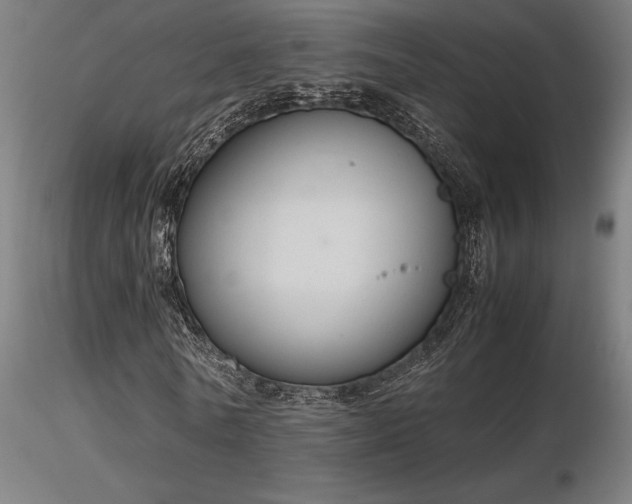 X0000116840770200912181456