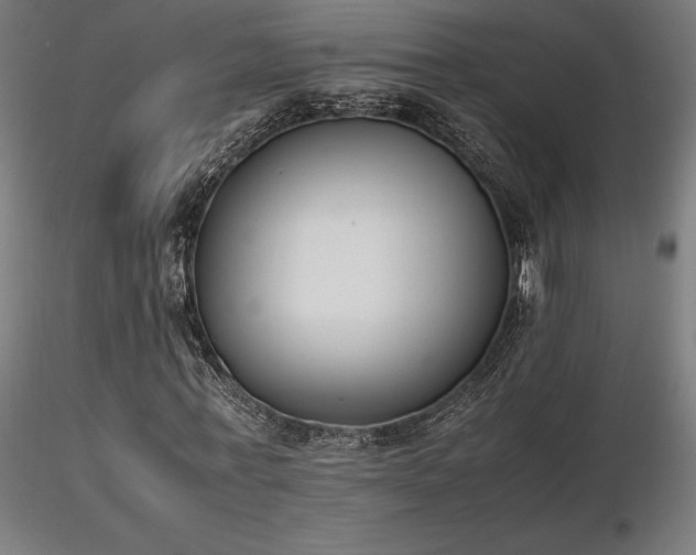 X0000116840771200912181456
