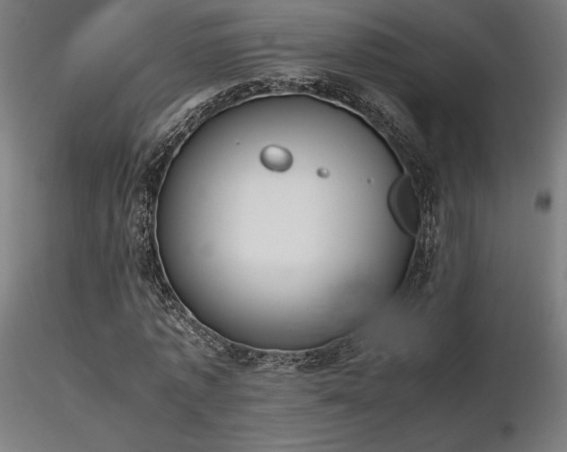 X0000116840773200912181456