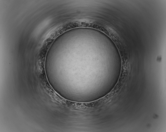 X0000116840774200912181456