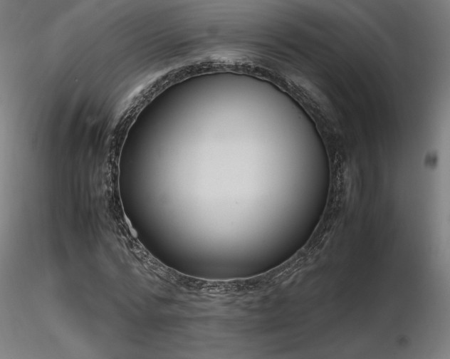 X0000116840776200912181456