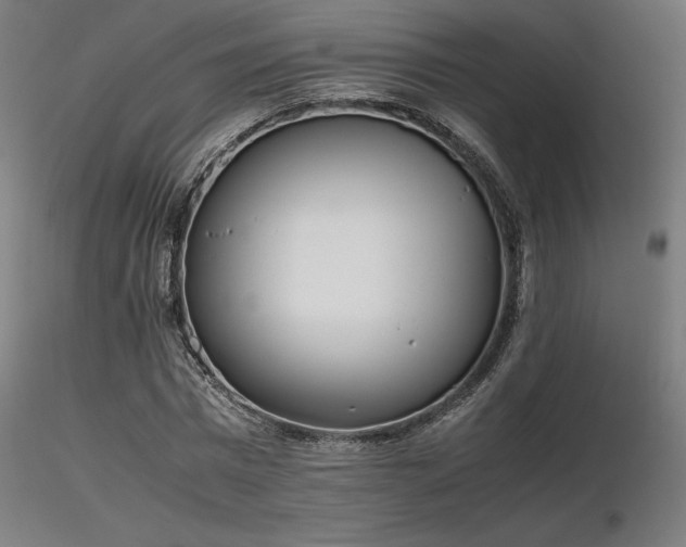 X0000116840777200912181456