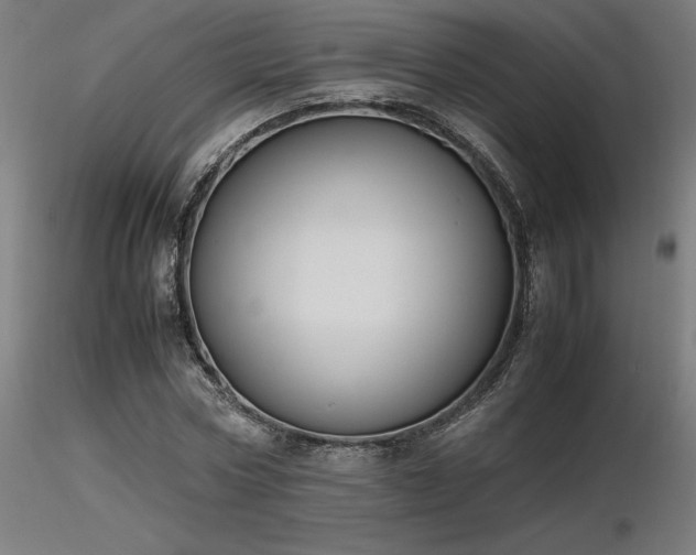 X0000116840778200912181456