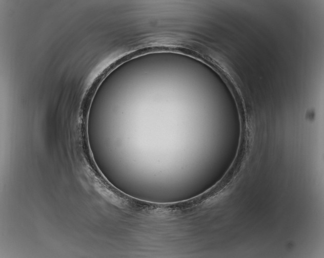 X0000116840779200912181456